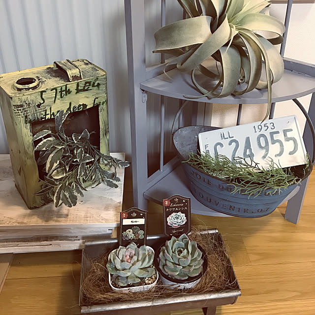 ruteiさんの部屋