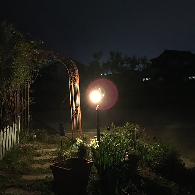 shigimiさんの実例写真