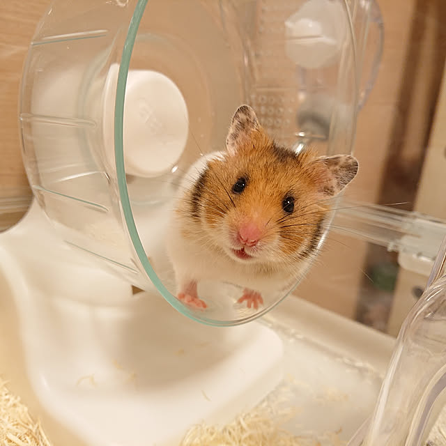 yunohaさんの実例写真