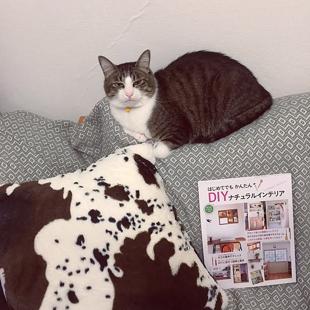 miruさんの実例写真