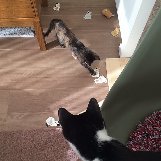 mikomaruさんの実例写真