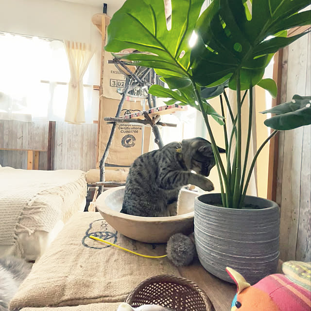 Mさんの実例写真
