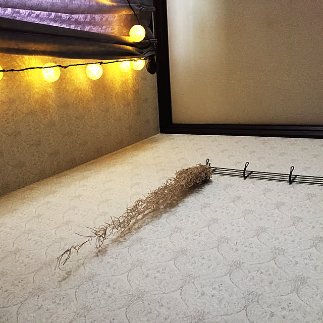piさんの実例写真