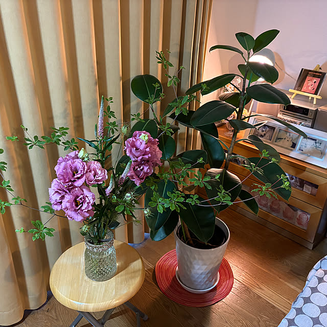 cocoさんの部屋
