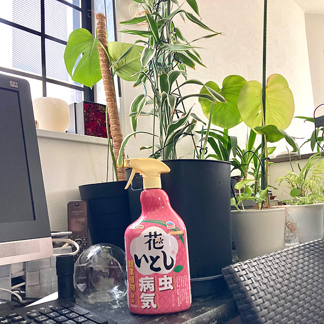 MOMOMAMAさんの実例写真