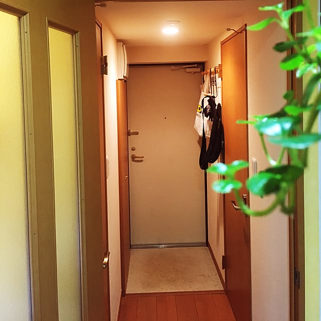 実例写真
