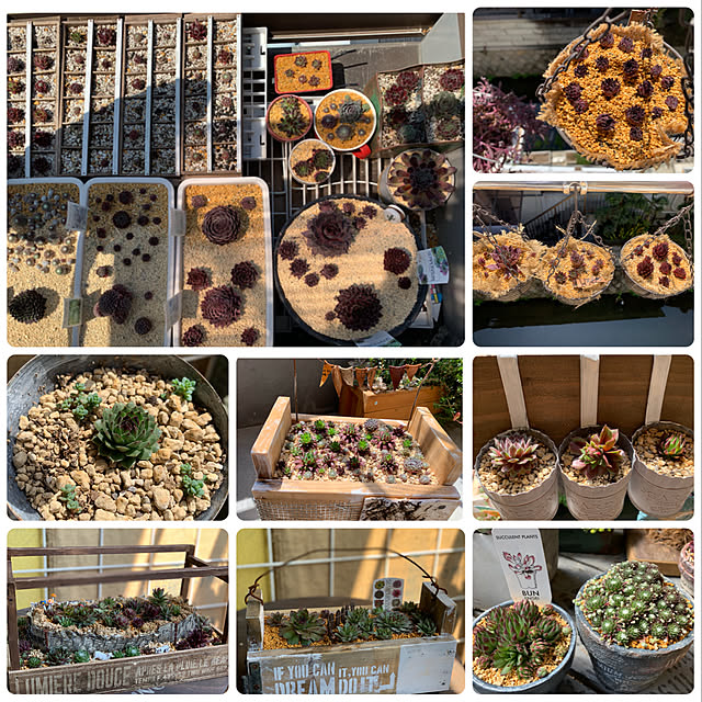 natulove0418さんの実例写真