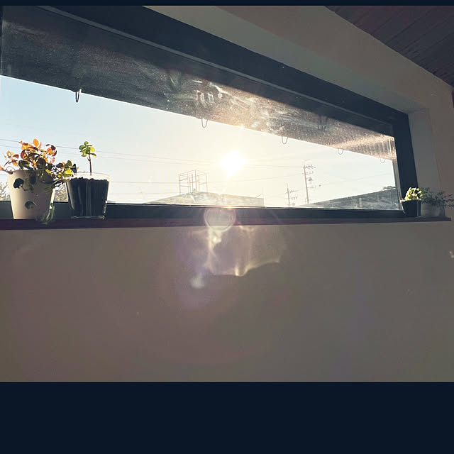 YUKINさんの実例写真