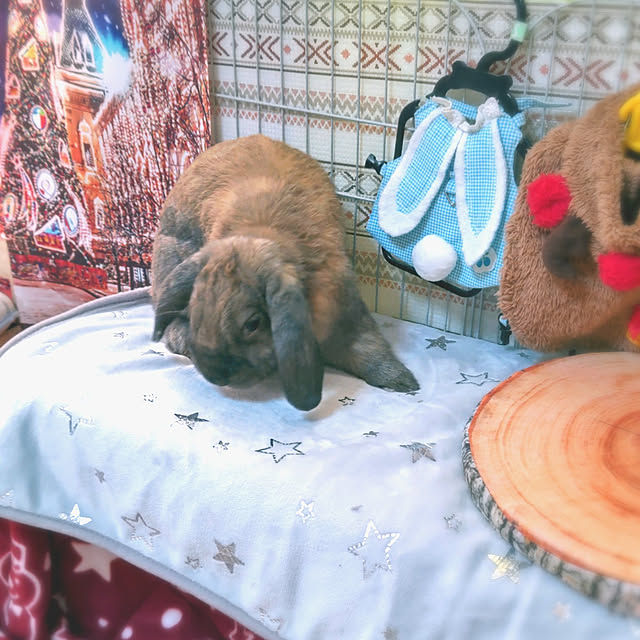 mariaさんの実例写真