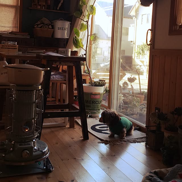 実例写真