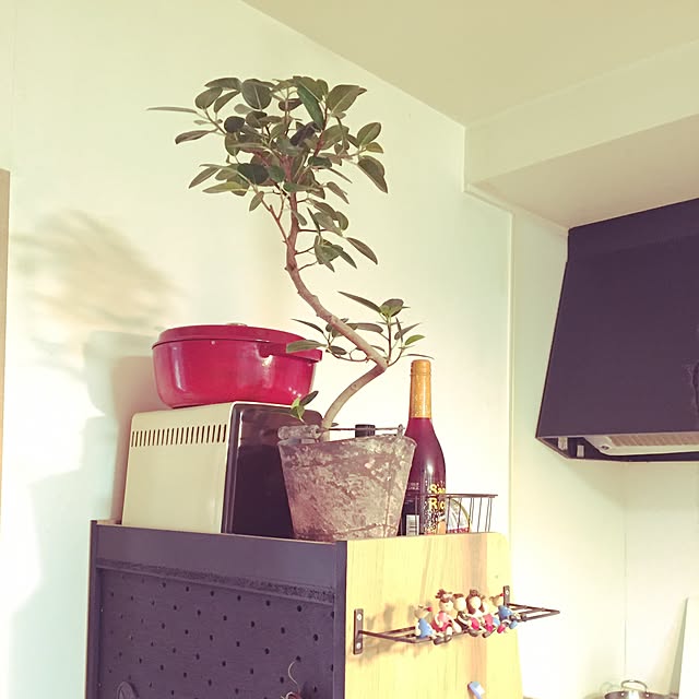 Hamuさんの実例写真