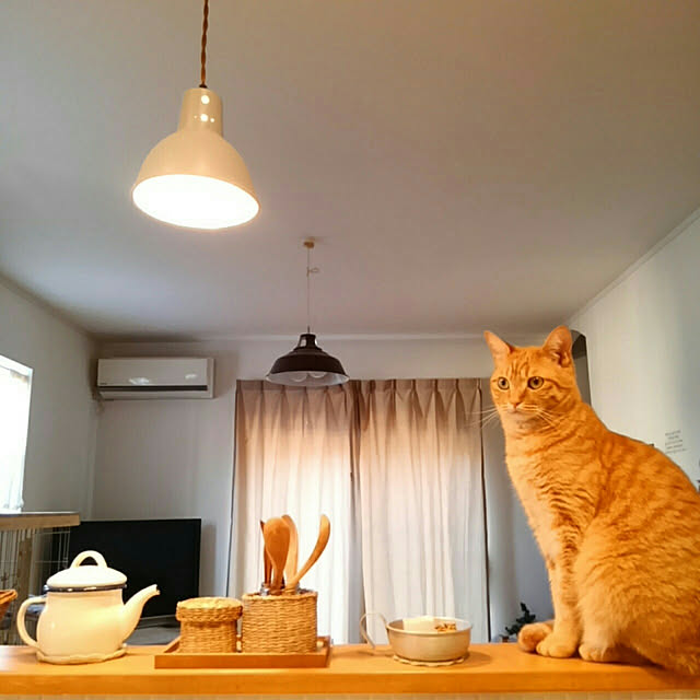 mayutan.さんの実例写真
