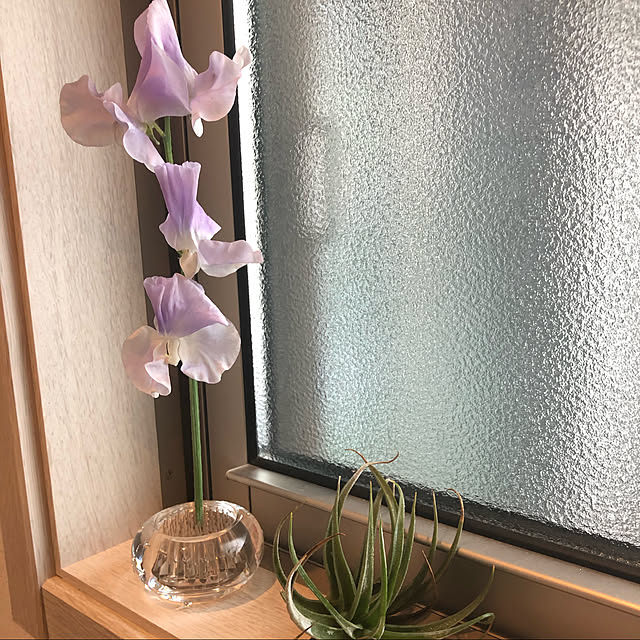 shiphoneさんの実例写真