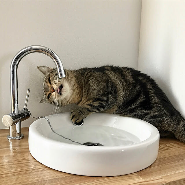 kaedeさんの実例写真