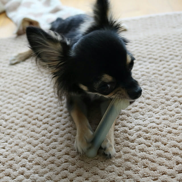 Chinatsu.Iさんの実例写真