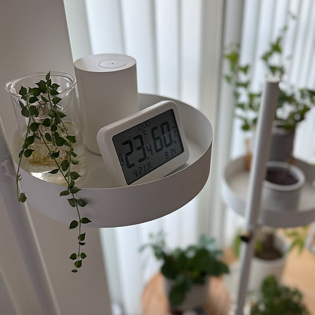 seven.hausさんの実例写真