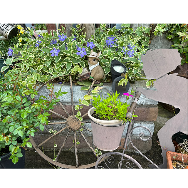 CoCo0617さんの部屋