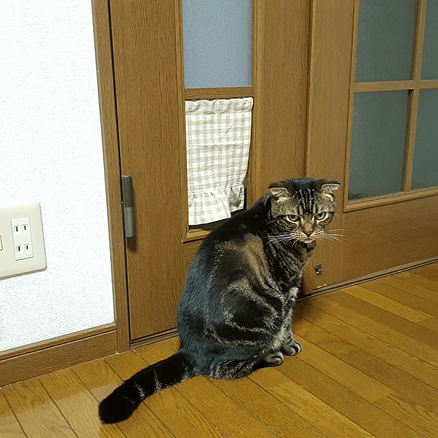 mi_iさんの実例写真