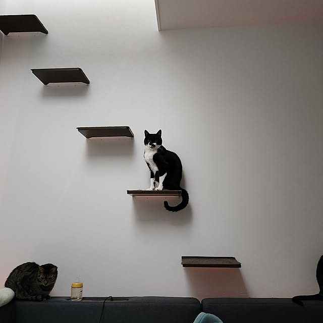 taroさんの実例写真