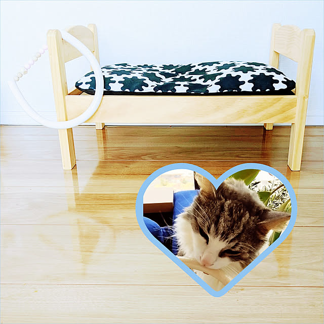 ponさんの実例写真