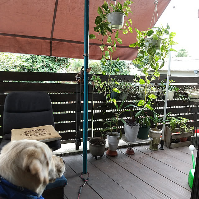 montomoさんの実例写真