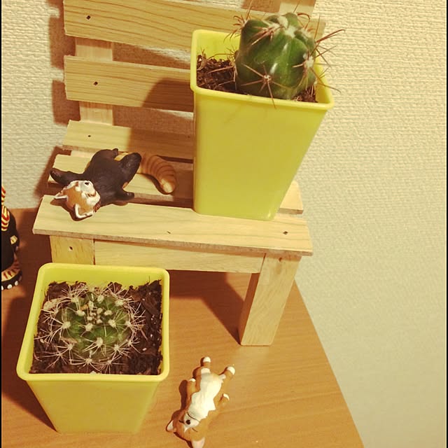 threeさんの実例写真