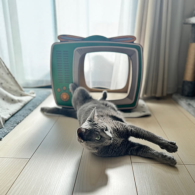 snoopyさんの部屋