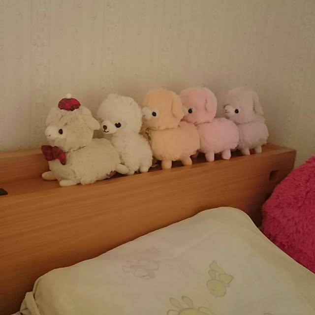 yukihaさんの実例写真