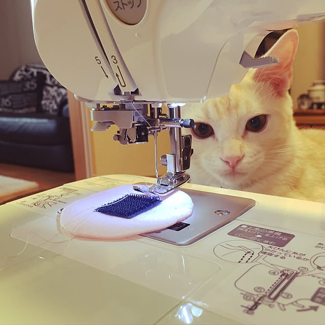 hiyupan88さんの実例写真