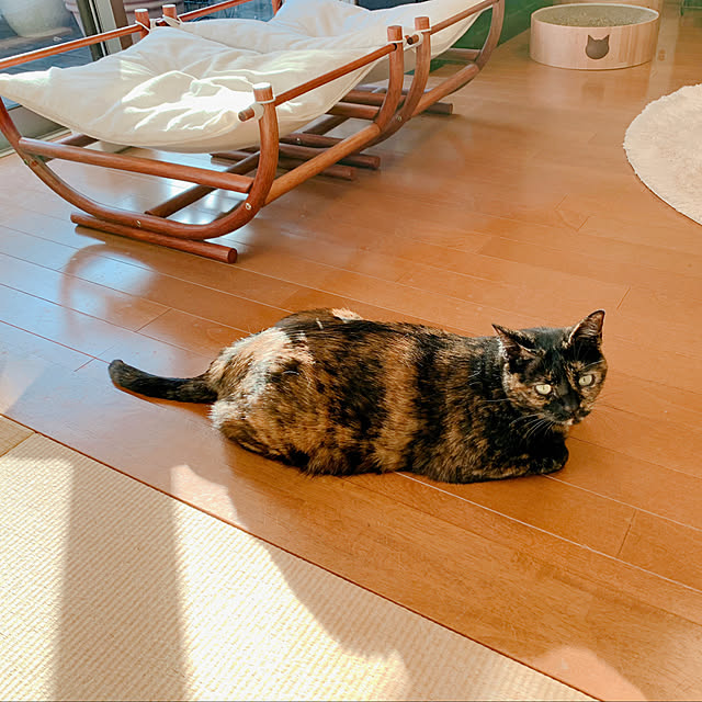mameazさんの部屋