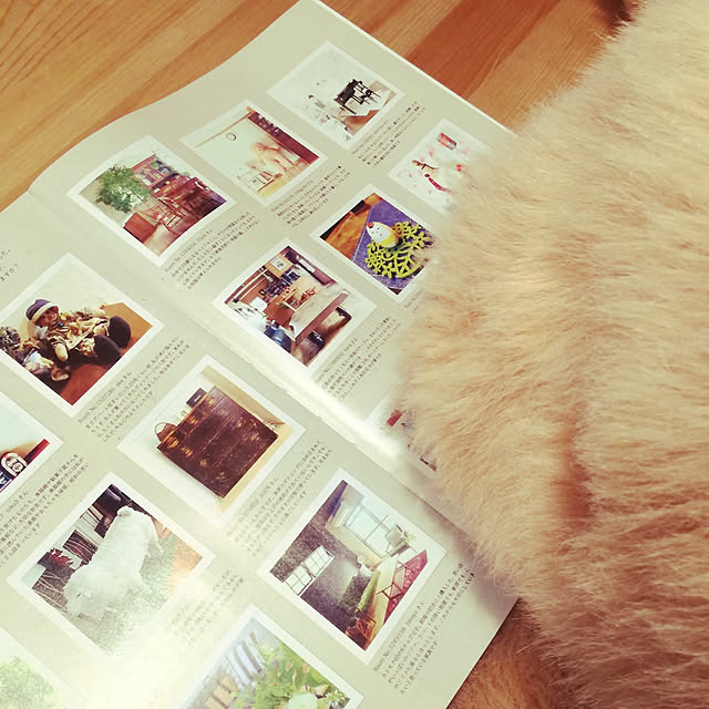 mikigumaさんの実例写真