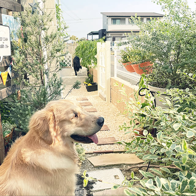 marinkoさんの実例写真