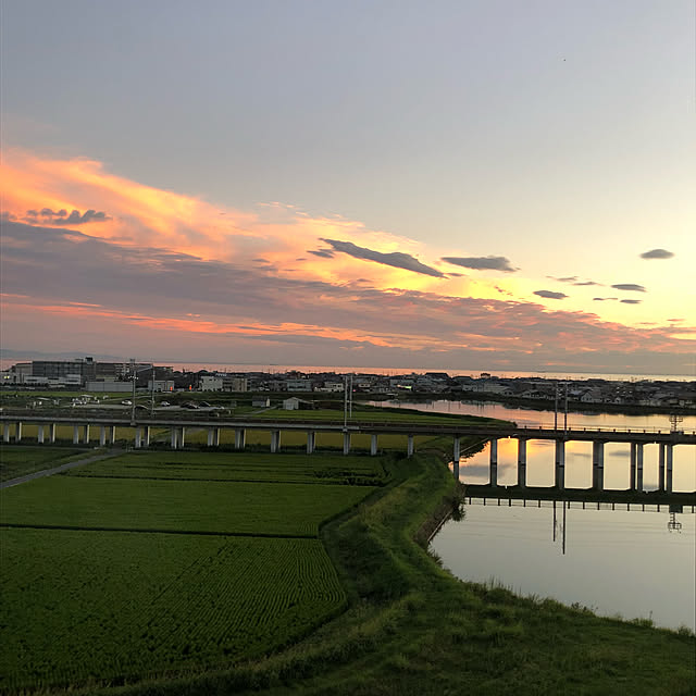 実例写真