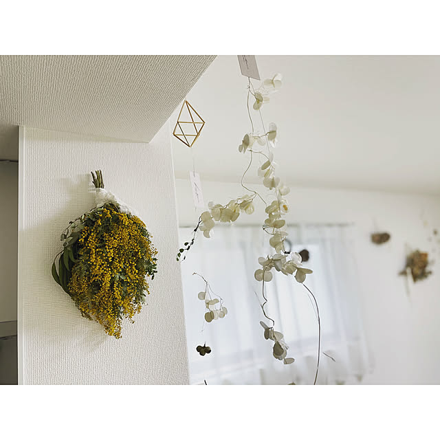 michunekoさんの実例写真