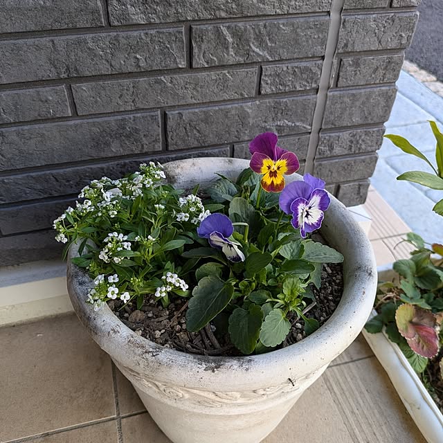 minnieさんの実例写真