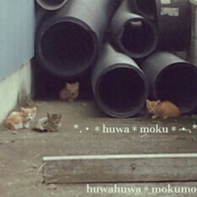 huwahuwa.mokumokuさんの実例写真
