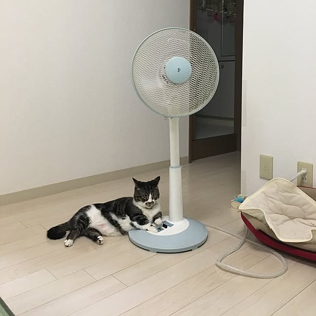 oceanianさんの実例写真