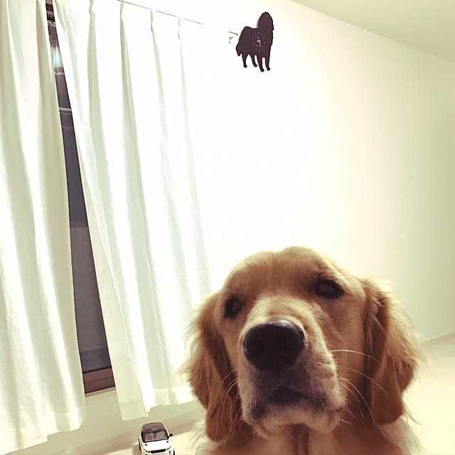 m_____11さんの実例写真