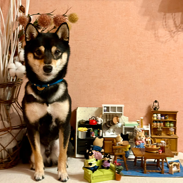 aboruさんの部屋