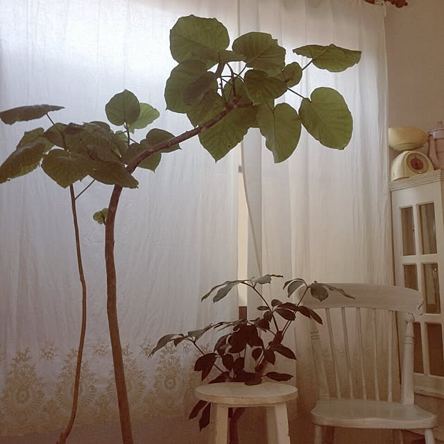 tynmr.0603さんの実例写真