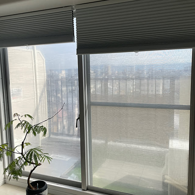 nocoさんの部屋