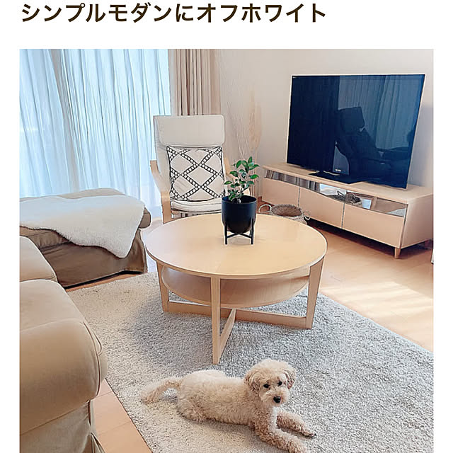 moooさんの実例写真