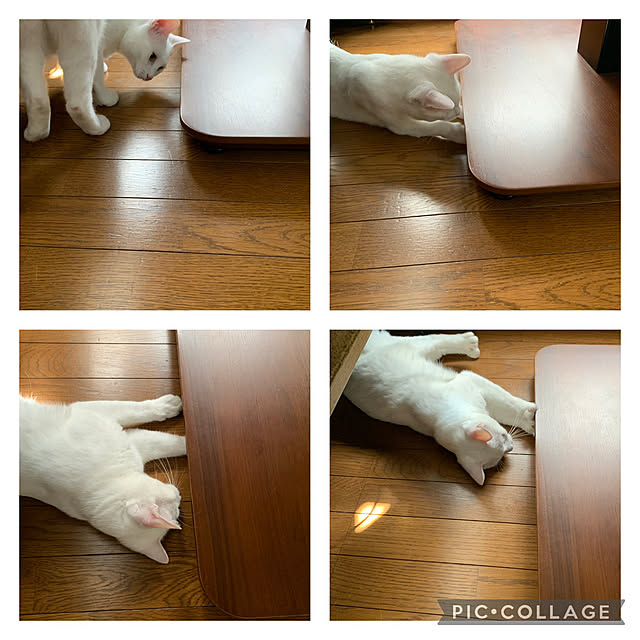 keiさんの実例写真