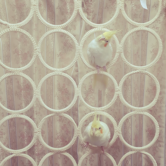 ANTENNAさんの実例写真