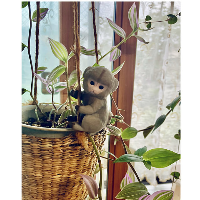 CoCo0617さんの部屋