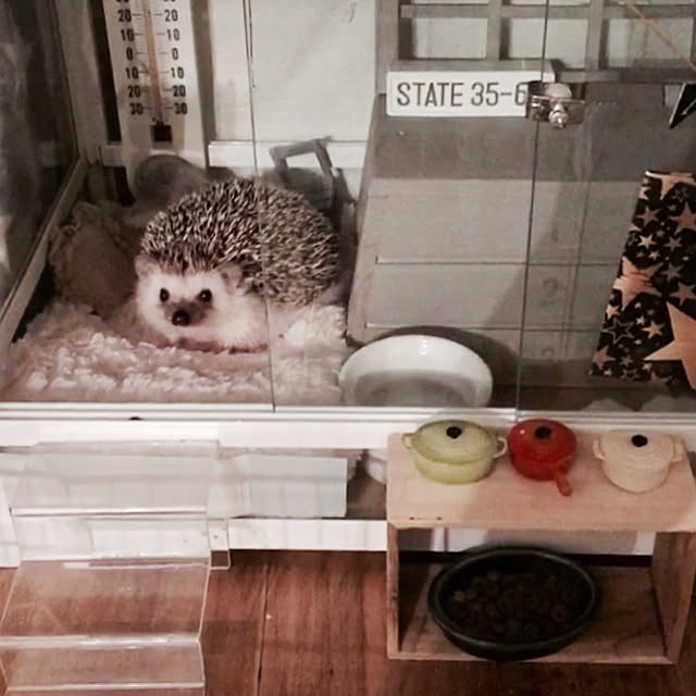 saokoさんの実例写真