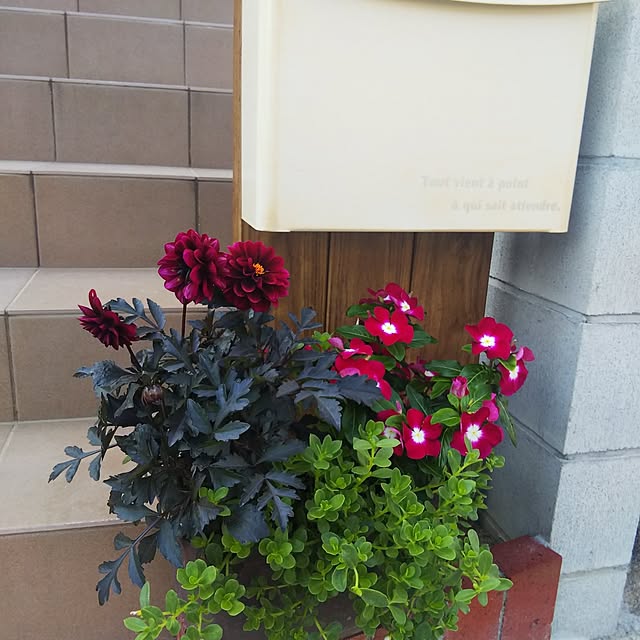 moonさんの実例写真