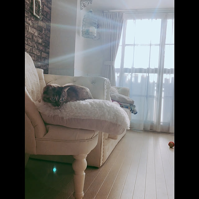 noelさんの実例写真