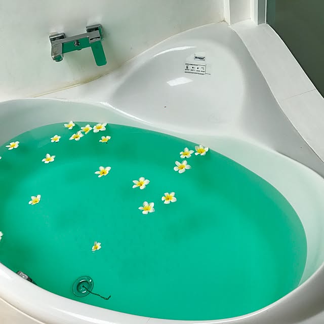 Mayumiさんの実例写真