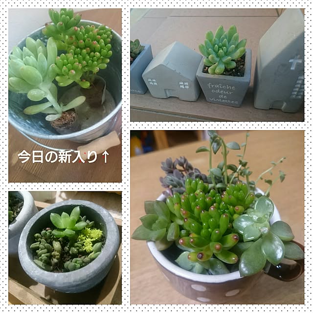 happytearsさんの実例写真